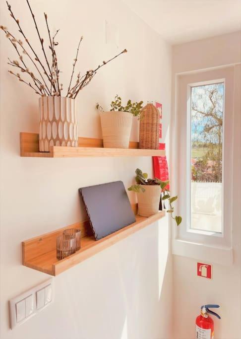 Cozy Apartment With Private Courtyard Barcarena Exteriör bild