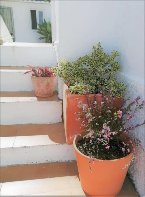 Cozy Apartment With Private Courtyard Barcarena Exteriör bild