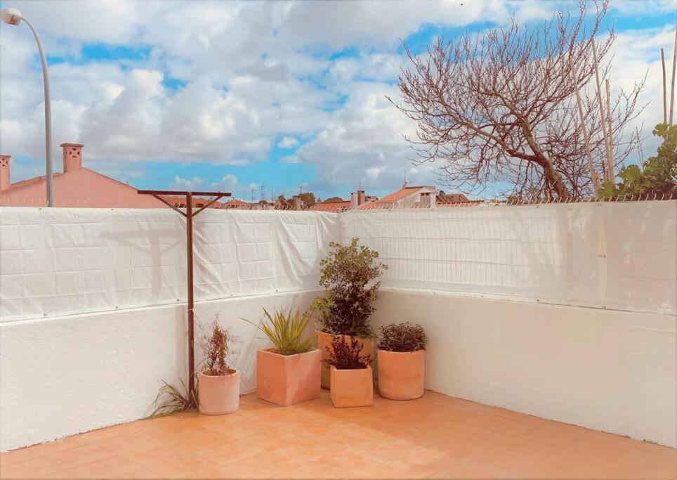 Cozy Apartment With Private Courtyard Barcarena Exteriör bild